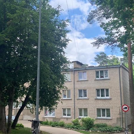 Studio Tipa Dzivoklis 奥格雷 外观 照片